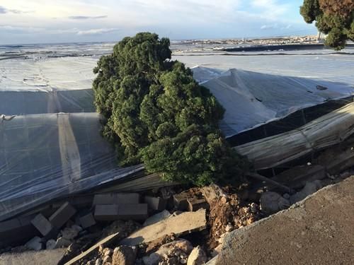 Una fuerte tormenta de lluvia y viento anega caminos rurales e inunda invernaderos
