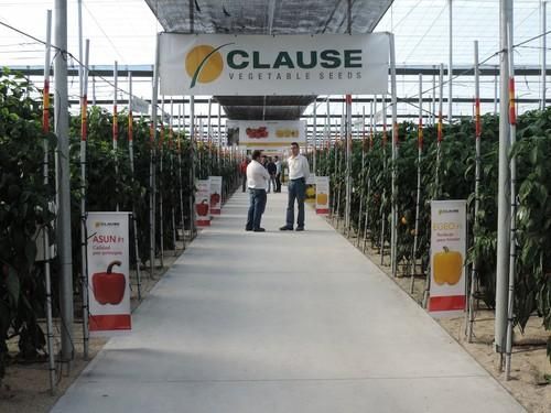 HM CLAUSE IBÉRICA reúne a agricultores para mostrarles su amplio catálogo de pimiento California