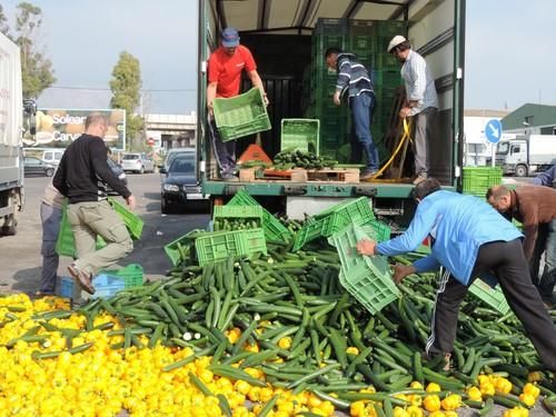 Los agricultores tiran varios miles de kilos de hortalizas en protesta por los bajos precios