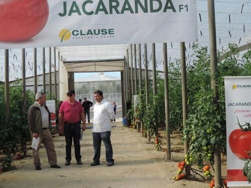 Jornadas de tomate Jacaranda F1 en La Cañada de HM Clause