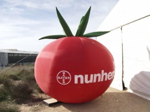 Nunhems reúne a agricultores y profesionales para mostrarles su amplia gama de tomate