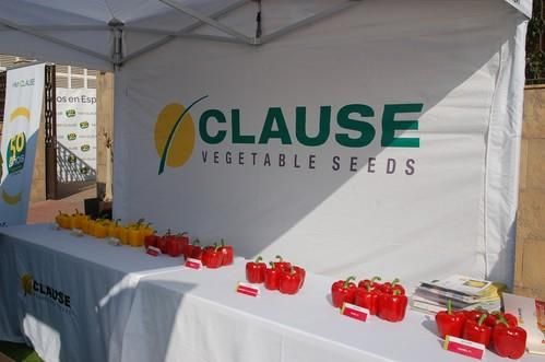 Jornadas de campo de pimiento California de HM Clause Ibérica