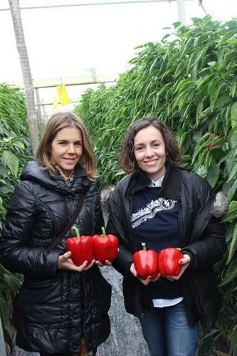 Seminis demuestra en campo las características que han llevado a su California SV1204PB a destacar