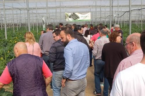 Jornada de campo de HM Clause Ibérica: calabacín Musa