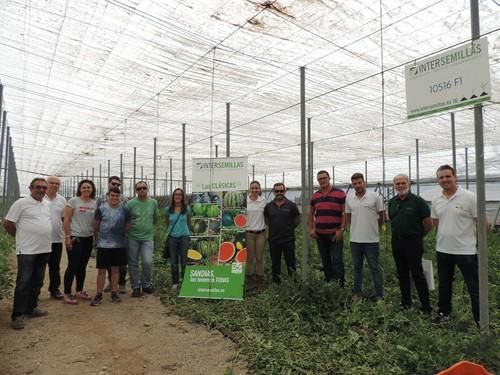 Intersemillas muestra su amplia variedad de sandías con unas jornadas de puertas abiertas