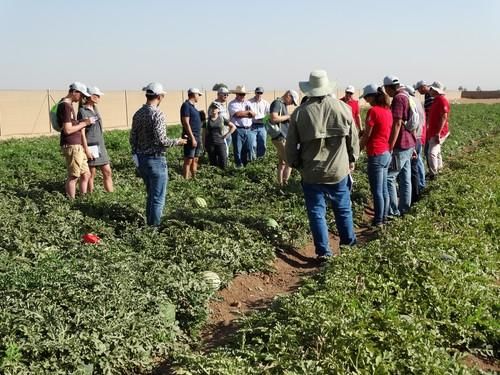 Jornadas de melón y sandía de Rijk Zwaan en Cartagena