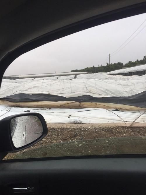 Lluvia torrencial en el término municipal de El Ejido