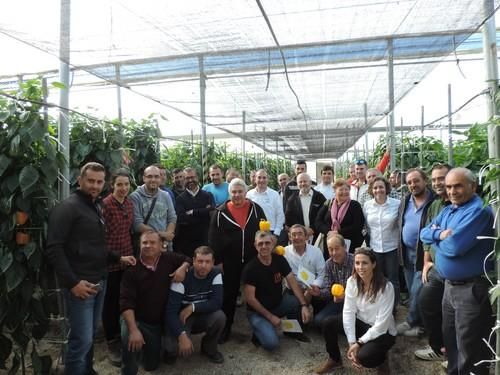 Jornadas de pimientos y lamuyos de Seminis