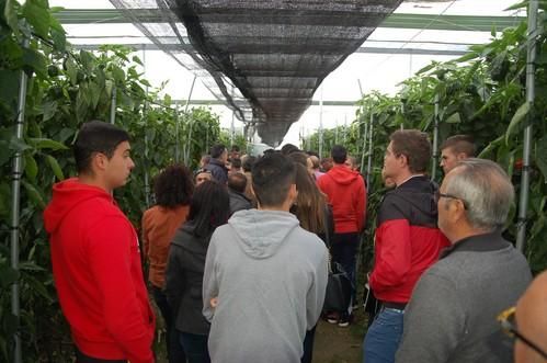 HM. Clause muestra sus California en las I Jornadas de Pimiento Temprano de Dalías