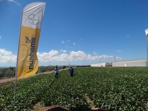 Melon & Watermelon Business Event for Experts 2017 de Nunhems, en La Palma (Cartagena)