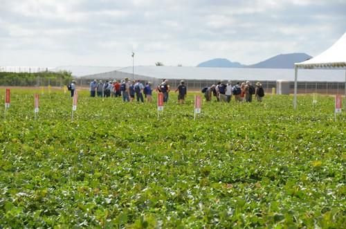 Global Melon & Watermelon Event 2017 de Rijk Zwaan: 'Inspiring the prosumer'
