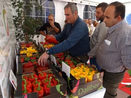 Comienzan las II Jornadas de Pimiento Temprano en Dalías