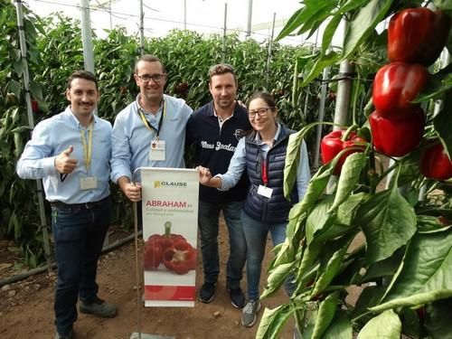 HM Clause presenta cuatro variedades de pimiento en las jornadas de temprano de Dalías