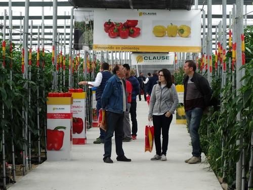 Jornadas de Puertas Abiertas de pimiento de HM Clause en El Ejido
