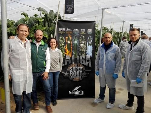 Seminis muestra su propuesta SV5047CE, la variedad de pepino largo destacada por gran productividad
