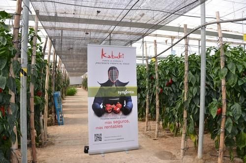 Más de 600 agricultores conocen las variedades de pimiento California de Syngenta durante dos días