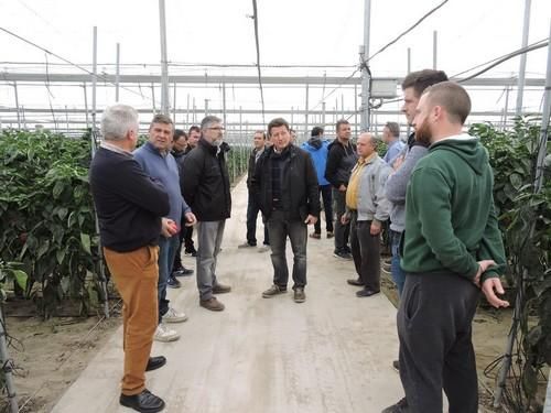 Rijk Zwaan muestra a numerosos agricultores su nuevo catálogo de pimientos resistentes a oídio