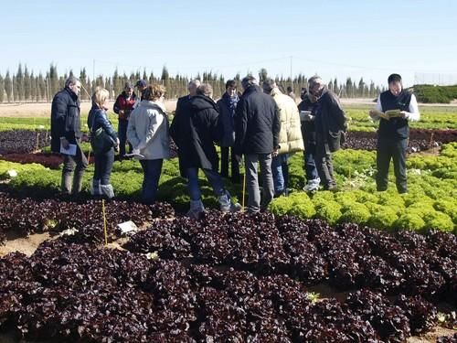 III Jornadas Internacionales de cultivos de invierno al aire libre de Rijk Zwaan