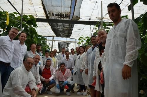 Invictus, el nuevo pepino de Seminis, insuperable para el calor