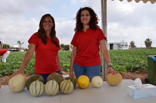 Nunhmes celebra un encuentro de expertos de melón y sandía en Cartagena