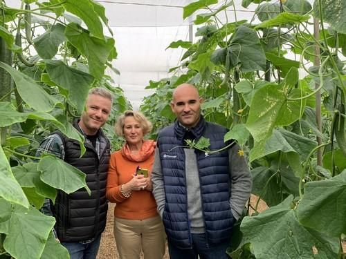 Seminis muestra a agricultores SV5047CE, uno de sus baluartes en pepino tipo Almería
