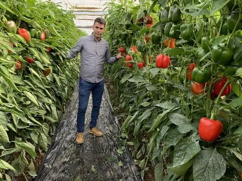 Ramiro Arnedo muestra la excelencia de sus pimientos California en unas jornadas en Balerma