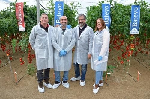 Seminis presume de su catálogo de tomate en unas jornadas con productores del Levante almeriense