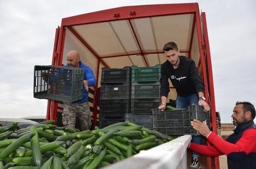 Agricultores almerienses y de la costa de Granada tiran pepinos ante la crisis de precios