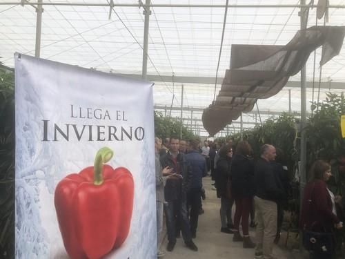Seminis muestra su variedad SV1204PB ante un numeroso grupo de agricultores