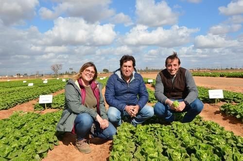 Ramiro Arnedo celebra sus jornadas de lechuga para presentar su amplia oferta para todos los ciclos