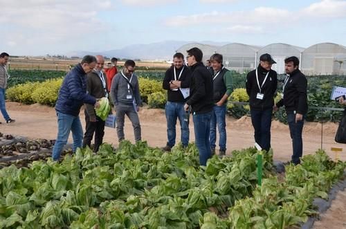 Bejo muestra sus variedades de lechuga, brassicas y otros cultivos en su jornada de puertas abiertas