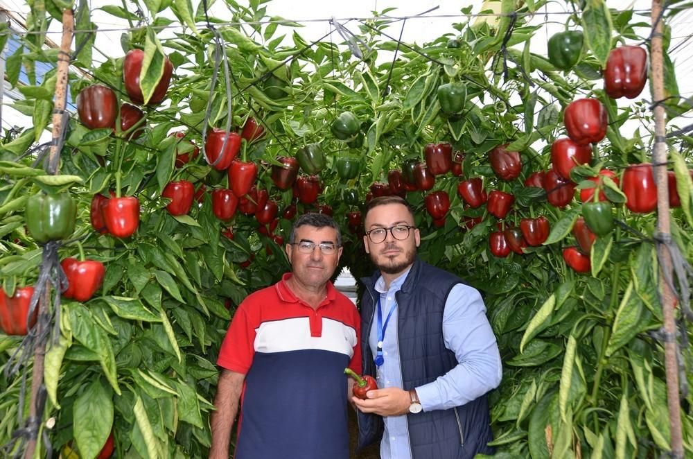 Motroy presenta su California rojo Torrente en una jornada de puertas abiertas en Tierras de Almería