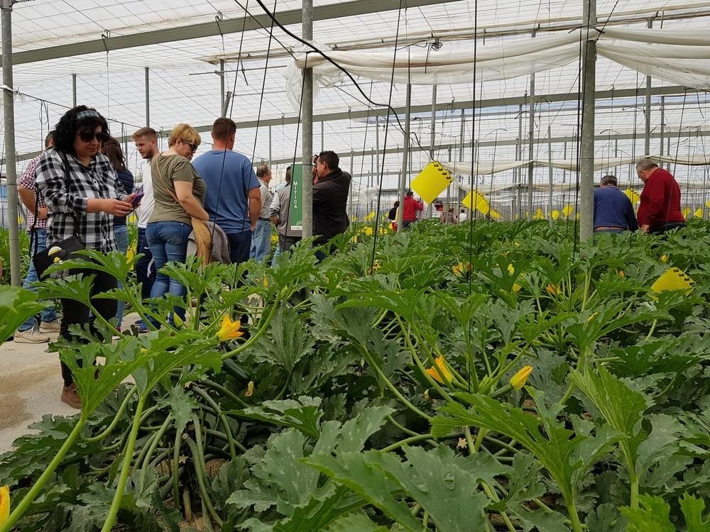 HM.CLAUSE lleva al campo a casi 250 agricultures para presentar su calabacín Mítica