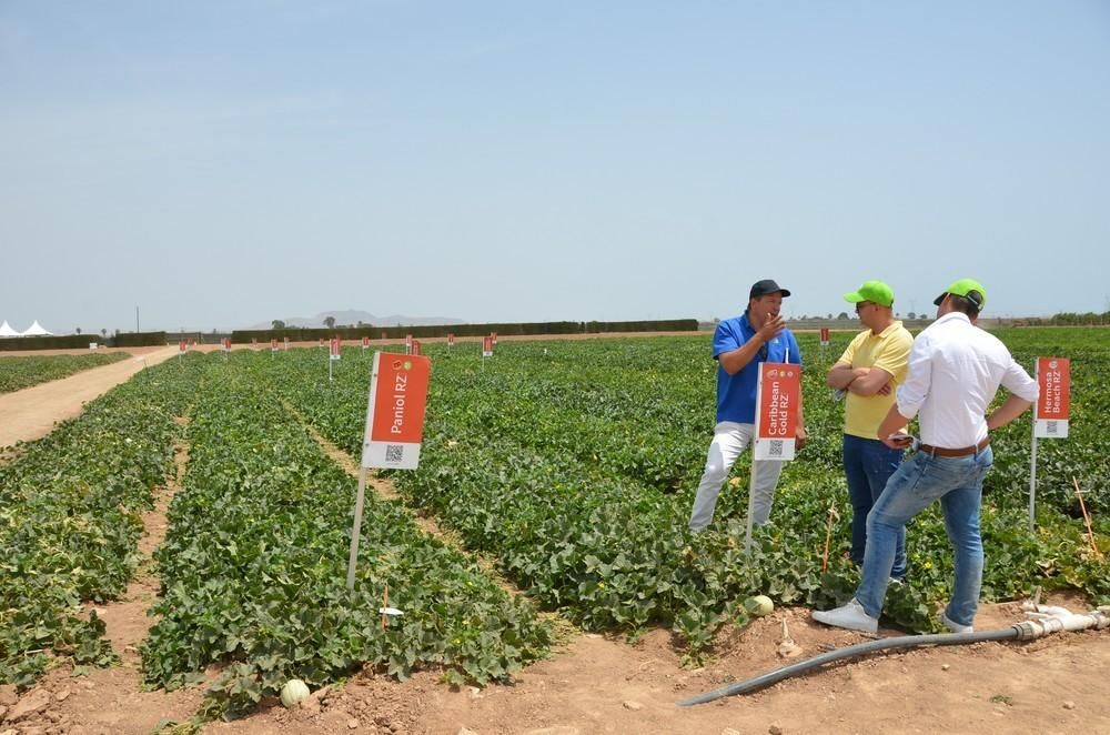 Rijk Zwaan presenta su 'solución global' para el mercado de melón y sandía en su CED La Palma