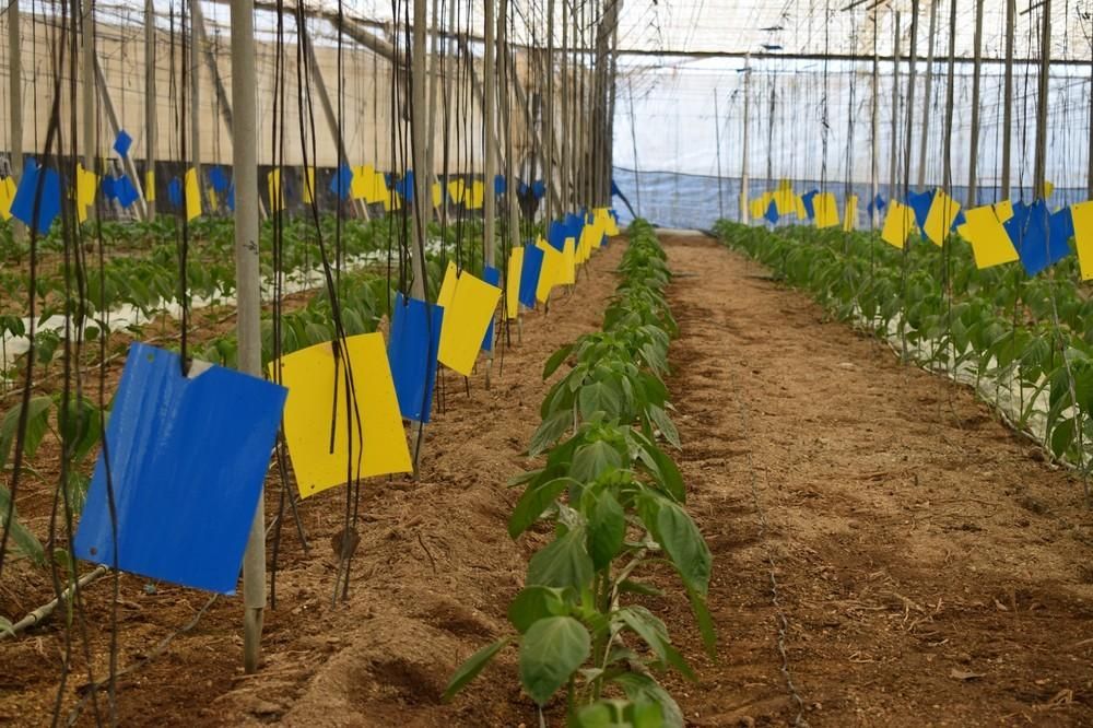 La mala conservación de las placas en las casas de suministros triplica el coste de manipulación