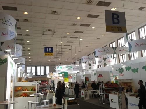 Más Fruit Logistica 2014