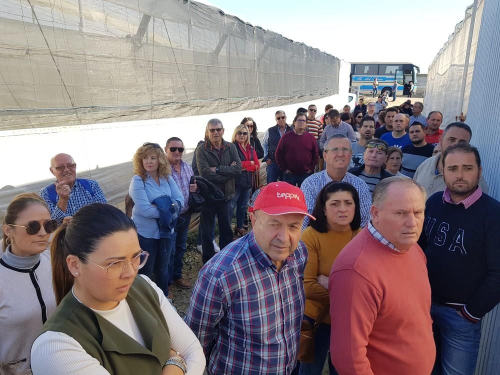 Syngenta reúne a casi 400 personas en su jornada de campo de pimiento