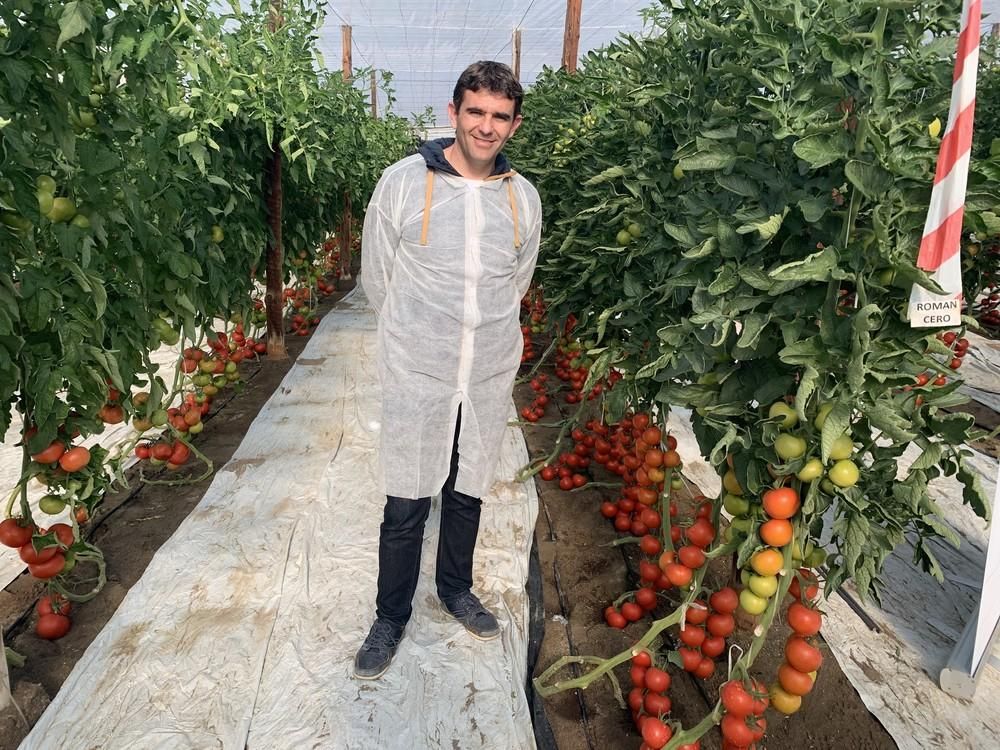 Ramiro Arnedo presenta su tridente en tomate con Macizo F1, Romancero F1 y Trabuco F1