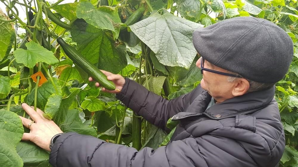 Sqisito muestra su triple resistencia en unas jornadas de campo en El Ejido