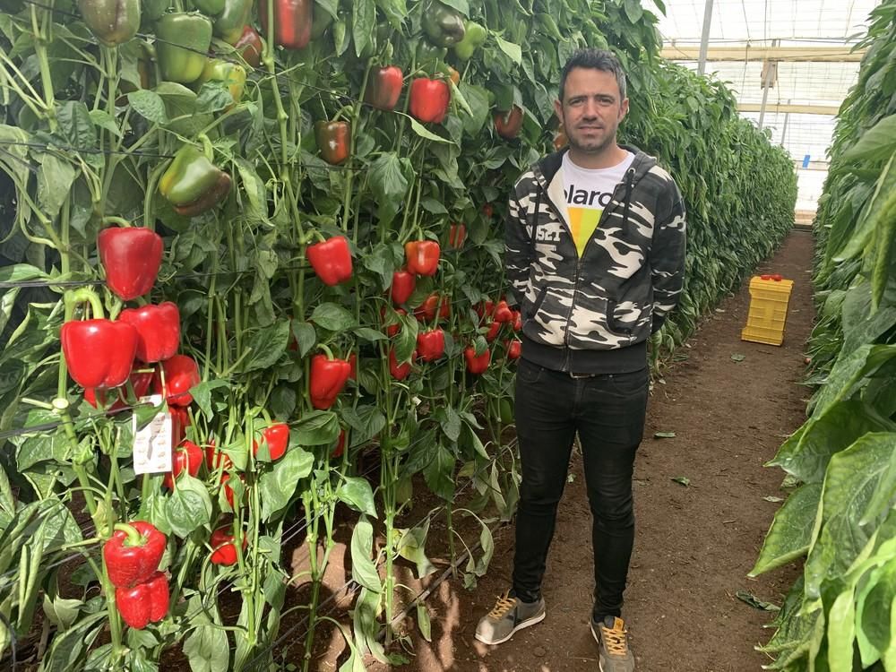 Ramiro Arnedo muestra su California Ercina F1 en una finca de Francisco Callejón