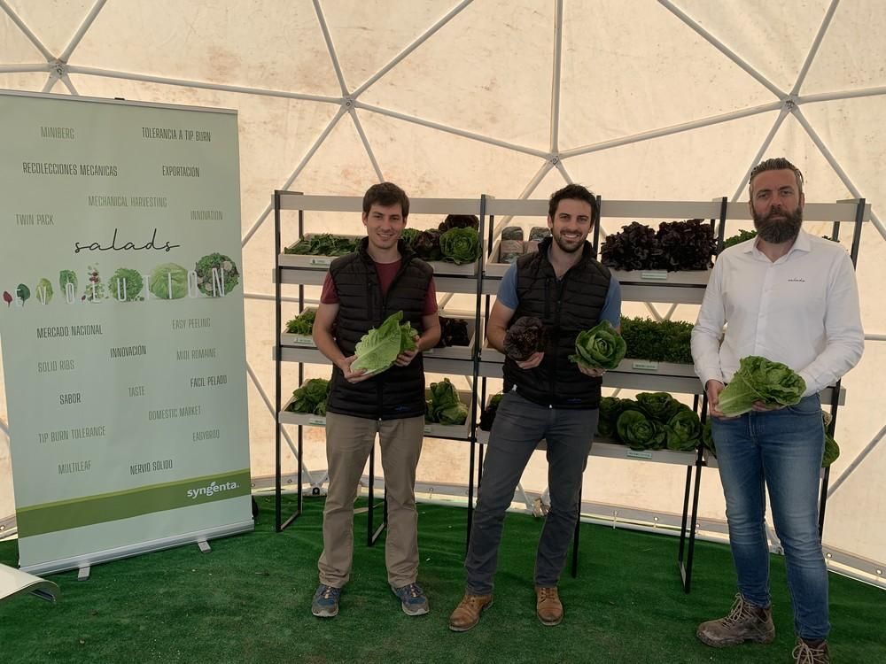 Syngenta presenta sus novedades y amplio catálogo dehoja y brassicas en sus #SaladsEvolution
