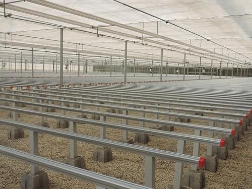 Semillero Campoejido abre sus puertas al público