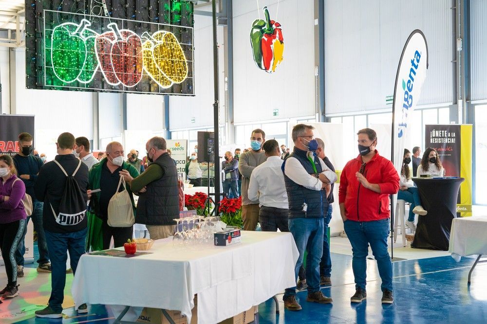 VI Jornadas de Pimiento Temprano de Berja. Día 2