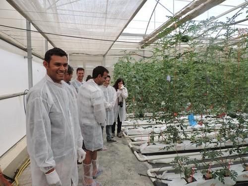 Alumnos de la UAL, de Sudamérica y España, especilistas en melón