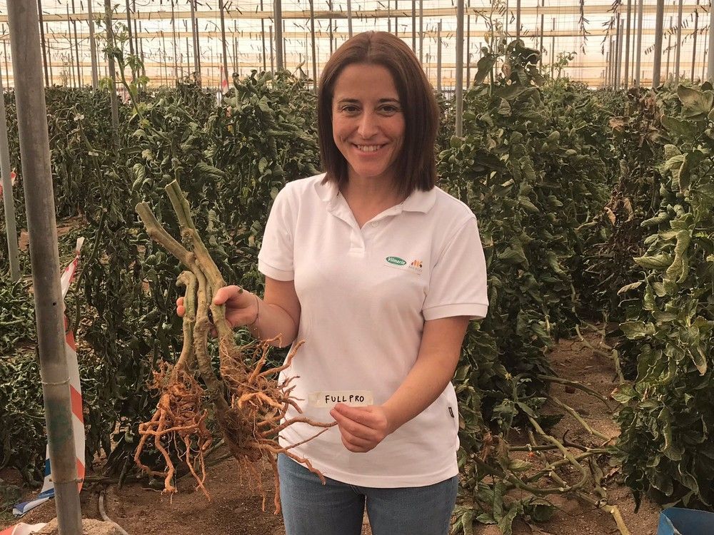 Vilmorin-Mikado sorprende con su jornada, 'Desayuno con portainjertos'