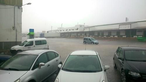 Las fuertes lluvias inundan gran parte de los caminos agrícolas y vías principales de El Ejido