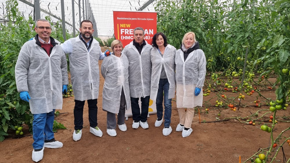 Freeman F1, el nuevo tomate pera de HM.CLAUSE con resistencia para mercados lejanos