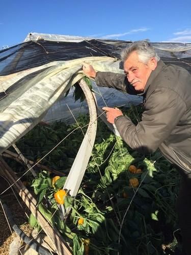 COAG analiza junto a sus agricultores los daños en fincas
