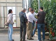 Syngenta Seeds muestra sus últimas innovaciones en pimiento, tomate y calabacín en unas jornadas de puertas abiertas
