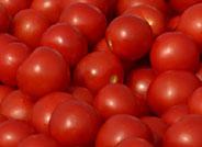 Crece un 4% el valor de las exportaciones de frutas y hortalizas en enero